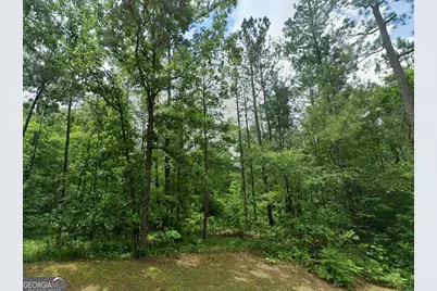 0 Old Eatonton, Sparta, GA 31087 - Photo 6