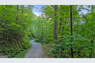 0 Elk Trail, Talking Rock, GA 30175 - Photo 16