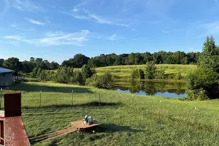 948 Parham Town Rd, Bowman, GA 30624 - Photo 30