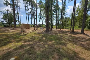 290 Kemp Rd, Swainsboro, GA 30401 - Photo 100