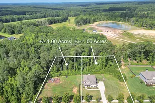 231 Homestead Cir, Forsyth, GA 31029 - Photo 42