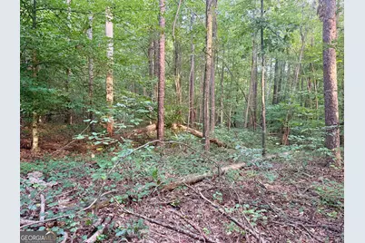 0 N Broad River Road, Eastanollee, GA 30538 - Photo 6