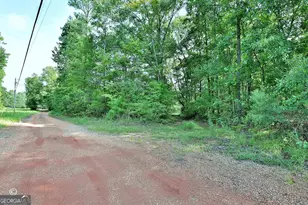 10216 Hwy 0315, Cataula, GA 31804 - Photo 22