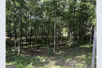 331 Rushing River Rd, Talking Rock, GA 30175 - Photo 10