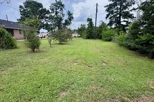 33 Hester St, Hazlehurst, GA 31539 - Photo 4
