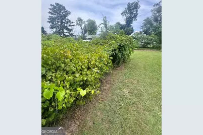 33 Hester Street, Hazlehurst, GA 31539 - Photo 34