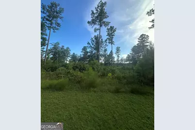 0 Big Horse Drive, Waynesville, GA 31566 - Photo 6