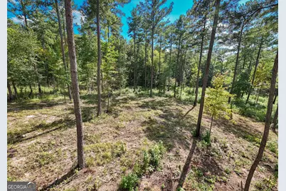 0 Hwy 100 #1 SADIE PLACE, Franklin, GA 30217 - Photo 16