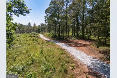 0 Hwy 100 #1 SADIE PLACE, Franklin, GA 30217 - Photo 12