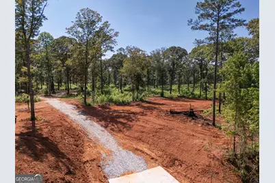 0 Hwy 100 #1 SADIE PLACE, Franklin, GA 30217 - Photo 22