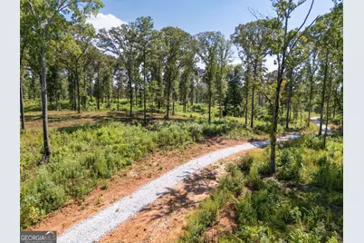 0 Hwy 100 #1 SADIE PLACE, Franklin, GA 30217 - Photo 2
