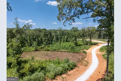0 Hwy 100 #1 SADIE PLACE, Franklin, GA 30217 - Photo 24