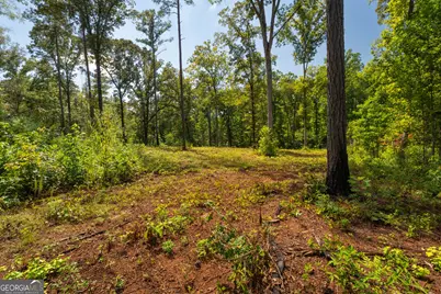 0 Hwy 100 #1 SADIE PLACE, Franklin, GA 30217 - Photo 20