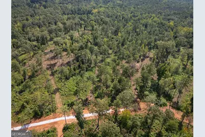 0 Hwy 100 #1 SADIE PLACE, Franklin, GA 30217 - Photo 32
