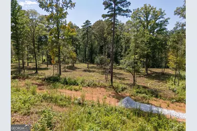 0 Hwy 100 #1 SADIE PLACE, Franklin, GA 30217 - Photo 14