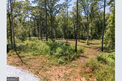 0 Hwy 100 #8 MACON LANE, Franklin, GA 30217 - Photo 8