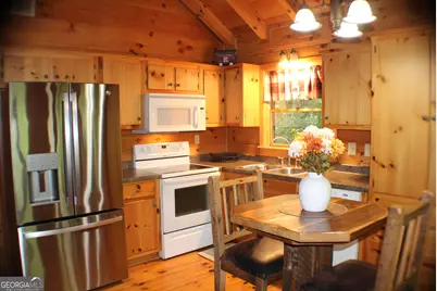 90 Pine Tree Drive, Blue Ridge, GA 30513 - Photo 16