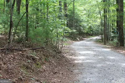 90 Pine Tree Drive, Blue Ridge, GA 30513 - Photo 30