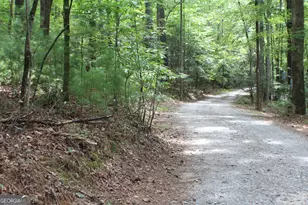 90 Pinetree Dr, Blue Ridge, GA 30513 - Photo 30