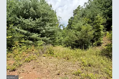 7129 Tantrough Farms, Hiawassee, GA 30546 - Photo 6