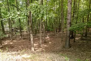 191 Deer Run Rd, Blairsville, GA 30512 - Photo 58