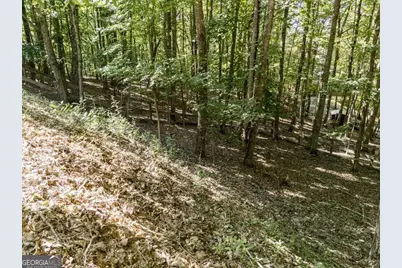 191 Deer Run Road, Blairsville, GA 30512 - Photo 56
