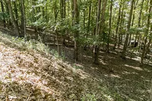 191 Deer Run Rd, Blairsville, GA 30512 - Photo 56