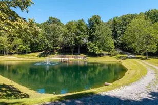 505 Old Salem Rd, Mineral Bluff, GA 30559 - Photo 8
