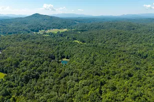 505 Old Salem Rd, Mineral Bluff, GA 30559 - Photo 110