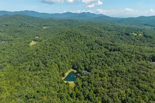505 Old Salem Rd, Mineral Bluff, GA 30559 - Photo 114