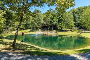 505 Old Salem Rd, Mineral Bluff, GA 30559 - Photo 94