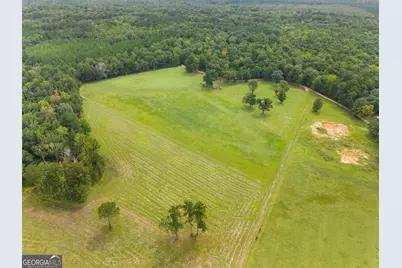 3964 Hwy 17 S, Millen, GA 30442 - Photo 54
