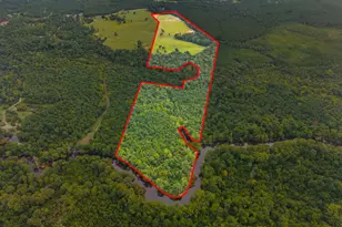 3964 Hwy 17 S, Millen, GA 30442 - Photo 4