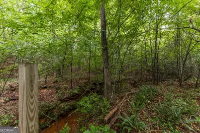 222 Tommys Trail, Forsyth, GA 31029 - Photo 36