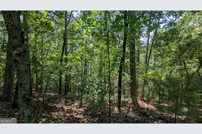 407 Jester Court, Ranger, GA 30734 - Photo 6