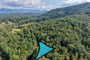 8296 True Love Mountain Rd, Young Harris, GA 30582 - Photo 6