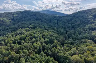 8296 True Love Mountain Rd, Young Harris, GA 30582 - Photo 54
