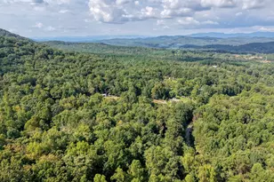 8296 True Love Mountain Rd, Young Harris, GA 30582 - Photo 56