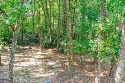 56 Montpelier Place, Sharpsburg, GA 30277 - Photo 10