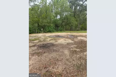 0 Morris Landing Road, Baxley, GA 31513 - Photo 4