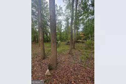 0 Morris Landing Road, Baxley, GA 31513 - Photo 6