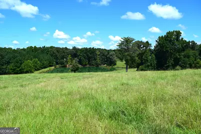 373 Gray Road, Eatonton, GA 31024 - Photo 48