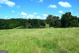 373 Gray Rd, Eatonton, GA 31024 - Photo 48
