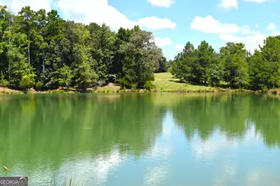 373 Gray Road, Eatonton, GA 31024 - Photo 54