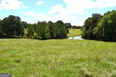 373 Gray Road, Eatonton, GA 31024 - Photo 60