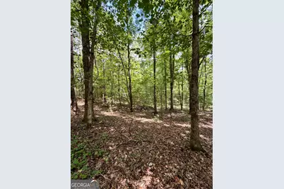 971 Bo Bo Banks Road, Grantville, GA 30220 - Photo 42