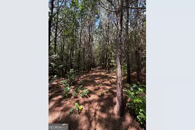971 Bo Bo Banks Road, Grantville, GA 30220 - Photo 46
