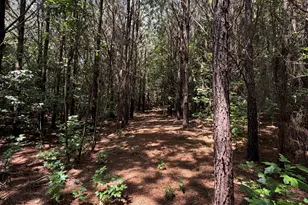 971 Bo Bo Banks Rd, Grantville, GA 30220 - Photo 46