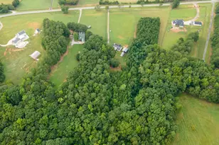 971 Bo Bo Banks Rd, Grantville, GA 30220 - Photo 44