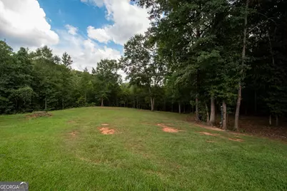 971 Bo Bo Banks Road, Grantville, GA 30220 - Photo 50